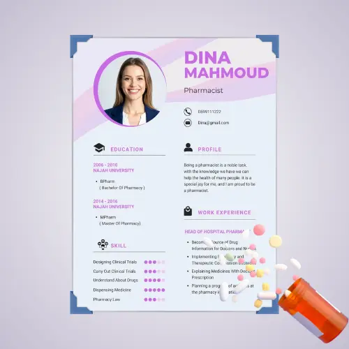 Professional CV Template Editable